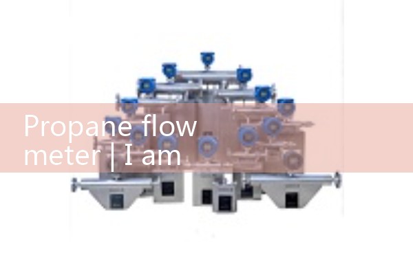 propane flow meter